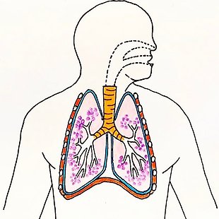 Anesthesia in lung pathologies Annotation image