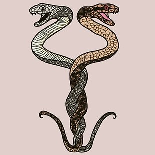 Snake Envenomation Annotation image