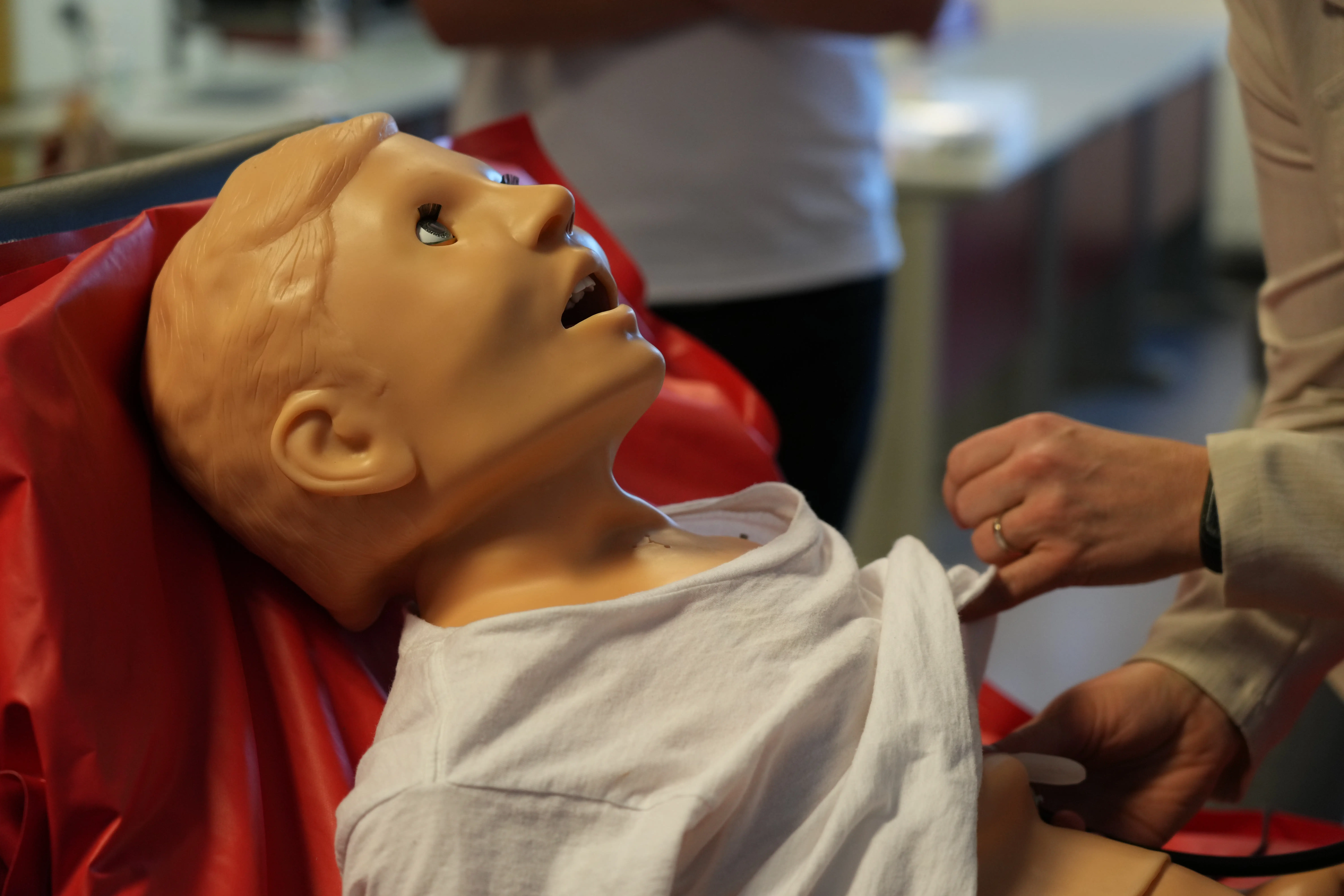 Ilustrační obrázek