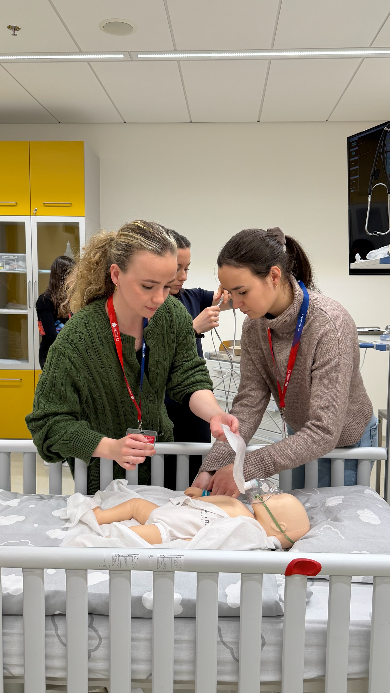 Ilustrační obrázek