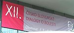 XII. Česko-slovenské dialogy o bolesti