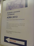 AORA 2013