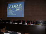 AORA 2013