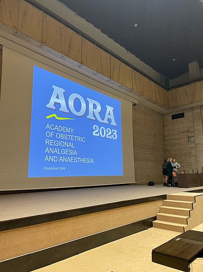 AORA 2023