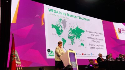 WCA 2026